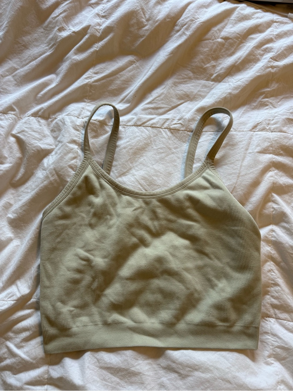 SET Active Ribbed Crop Bralette in Sage